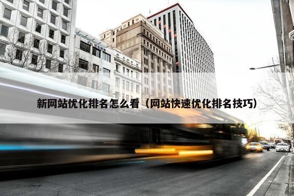 新网站优化排名怎么看（网站快速优化排名技巧）