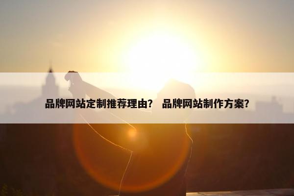 品牌网站定制推荐理由？ 品牌网站制作方案？