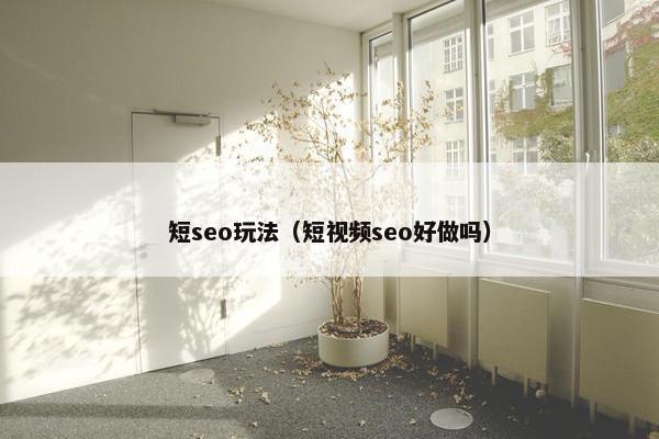 短seo玩法（短视频seo好做吗）