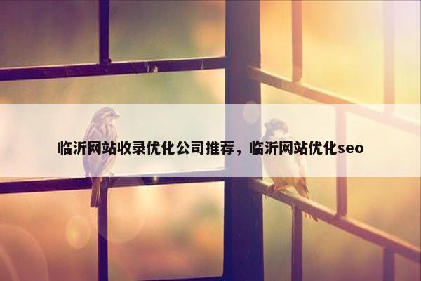 临沂网站收录优化公司推荐，临沂网站优化seo