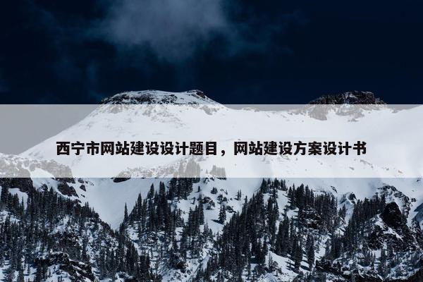 西宁市网站建设设计题目，网站建设方案设计书