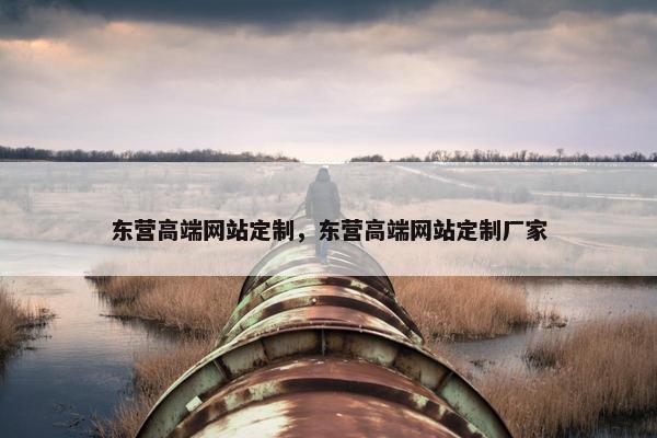 东营高端网站定制，东营高端网站定制厂家