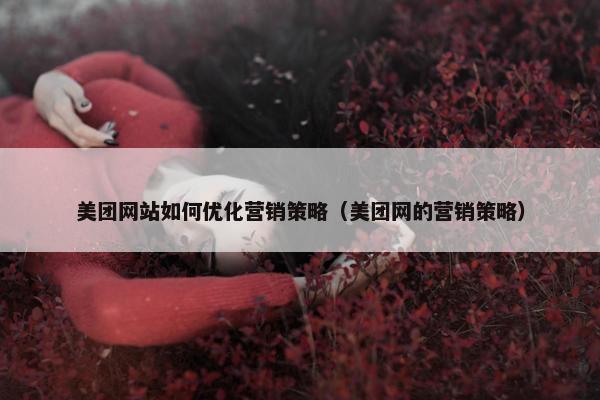美团网站如何优化营销策略（美团网的营销策略）