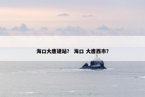海口大唐建站？ 海口 大唐西市？