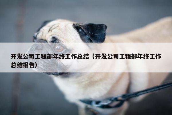 开发公司工程部年终工作总结（开发公司工程部年终工作总结报告）