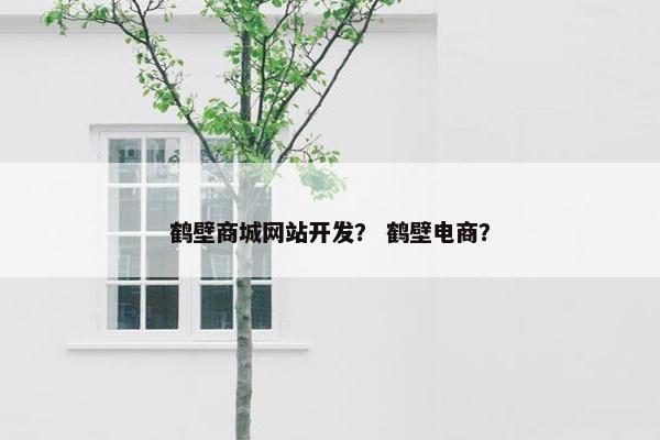 鹤壁商城网站开发？ 鹤壁电商？