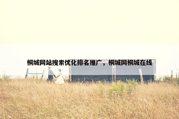 桐城网站搜索优化排名推广，桐城网桐城在线