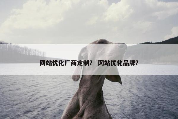 网站优化厂商定制？ 网站优化品牌？