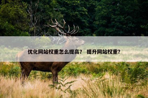 优化网站权重怎么提高？ 提升网站权重？