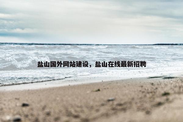 盐山国外网站建设，盐山在线最新招聘
