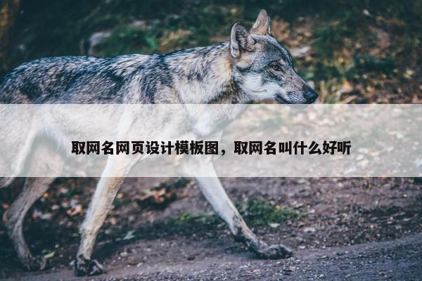 取网名网页设计模板图，取网名叫什么好听