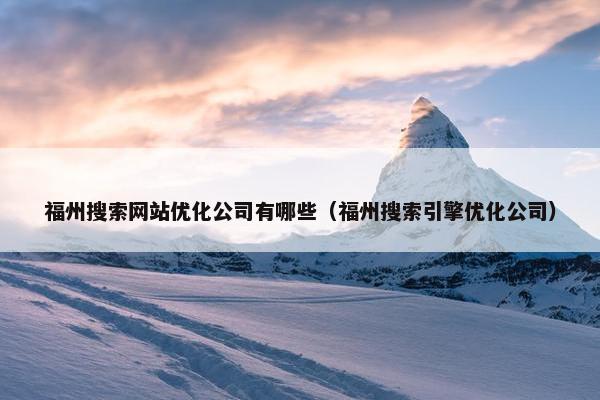 福州搜索网站优化公司有哪些（福州搜索引擎优化公司）
