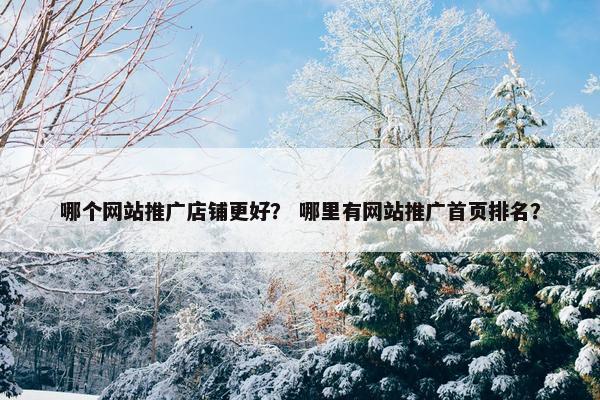哪个网站推广店铺更好？ 哪里有网站推广首页排名？