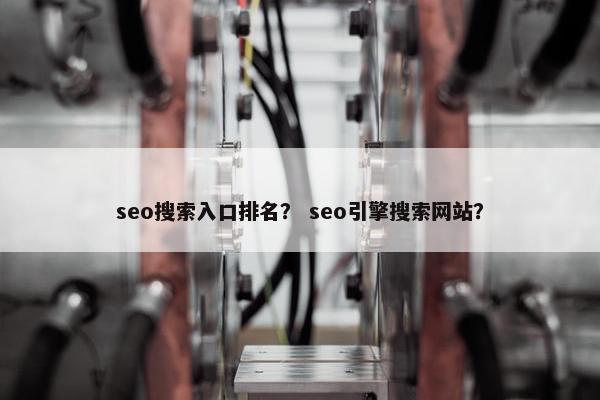 seo搜索入口排名？ seo引擎搜索网站？