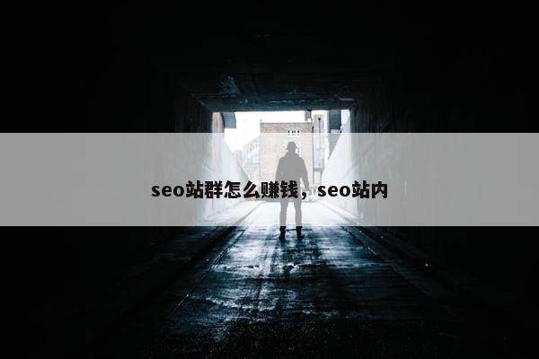seo站群怎么赚钱，seo站内
