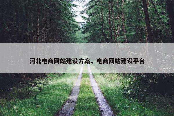 河北电商网站建设方案，电商网站建设平台
