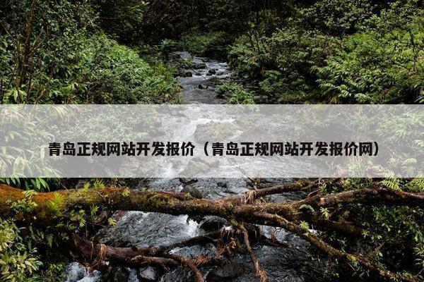 青岛正规网站开发报价（青岛正规网站开发报价网）