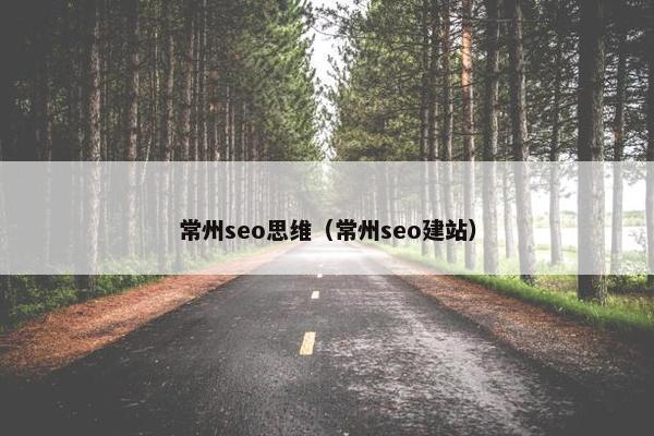 常州seo思维（常州seo建站）