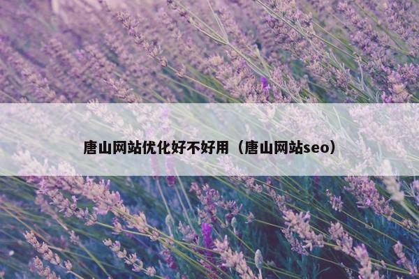 唐山网站优化好不好用（唐山网站seo）