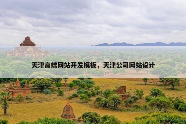 天津高端网站开发模板，天津公司网站设计