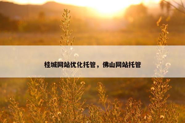 桂城网站优化托管，佛山网站托管