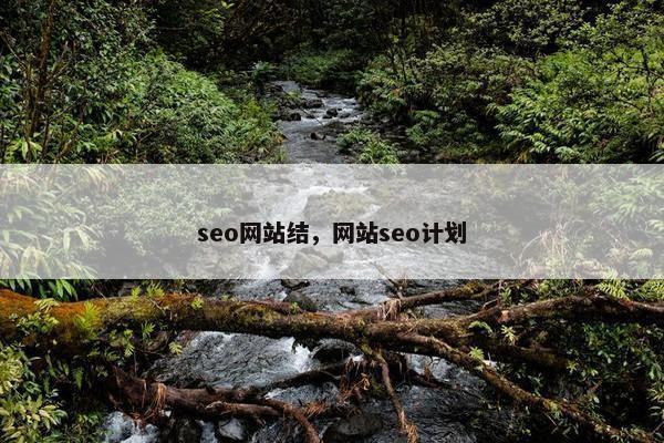seo网站结，网站seo计划