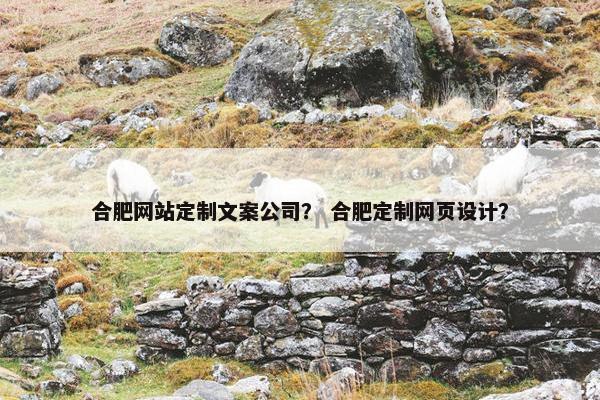 合肥网站定制文案公司？ 合肥定制网页设计？