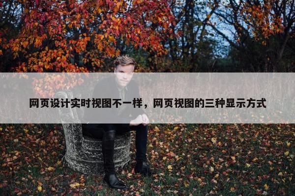 网页设计实时视图不一样，网页视图的三种显示方式