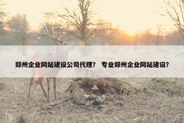 郑州企业网站建设公司代理？ 专业郑州企业网站建设？