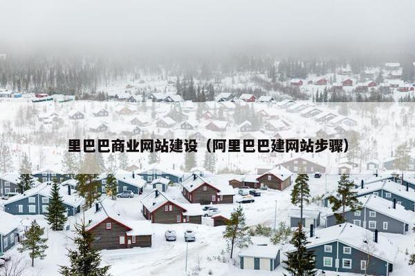 里巴巴商业网站建设（阿里巴巴建网站步骤）