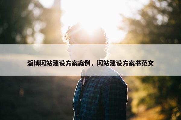 淄博网站建设方案案例，网站建设方案书范文