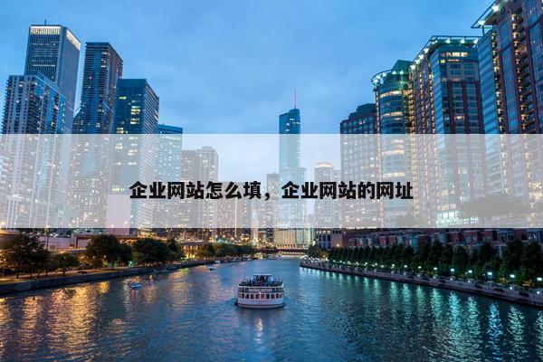 企业网站怎么填，企业网站的网址