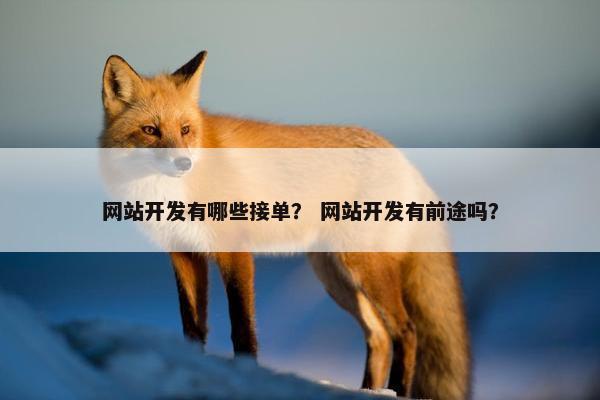 网站开发有哪些接单？ 网站开发有前途吗？
