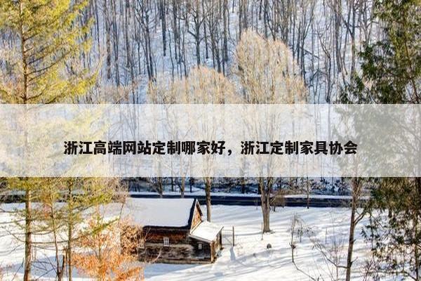 浙江高端网站定制哪家好，浙江定制家具协会