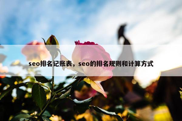 seo排名记账表，seo的排名规则和计算方式