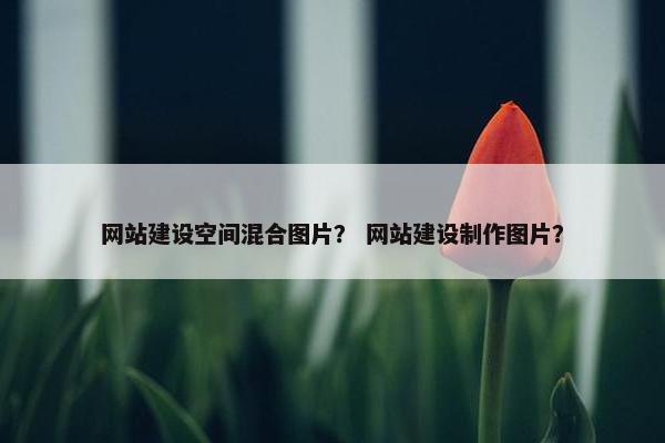 网站建设空间混合图片？ 网站建设制作图片？