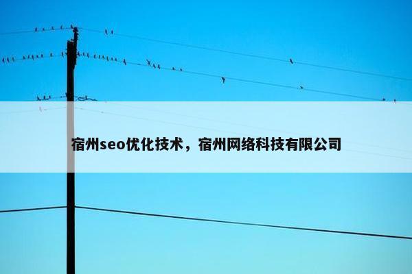 宿州seo优化技术，宿州网络科技有限公司