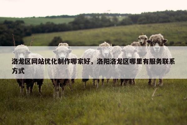 洛龙区网站优化制作哪家好，洛阳洛龙区哪里有服务联系方式