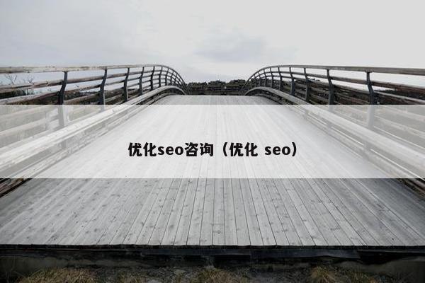 优化seo咨询（优化 seo）