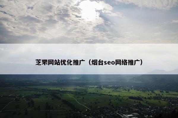 芝罘网站优化推广（烟台seo网络推广）