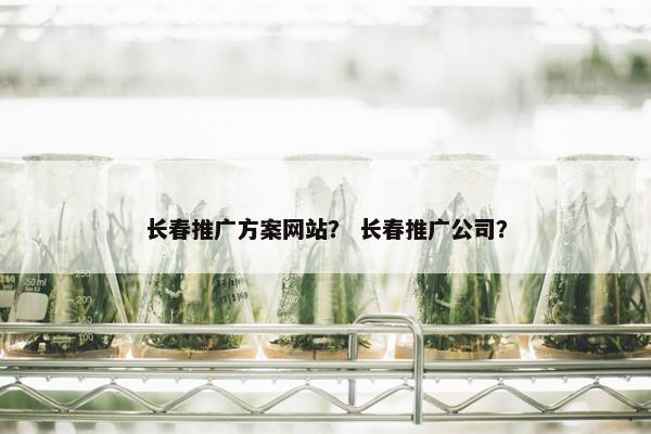 长春推广方案网站？ 长春推广公司？