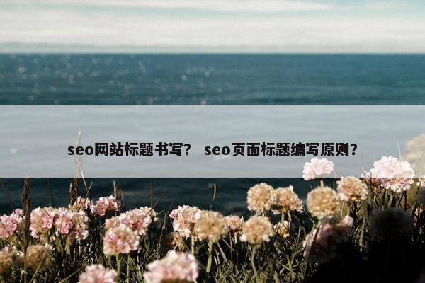 seo网站标题书写？ seo页面标题编写原则？