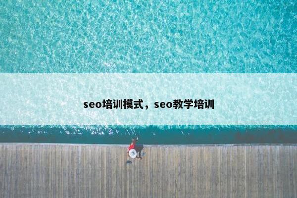 seo培训模式，seo教学培训