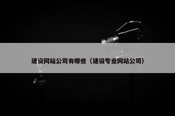 建设网站公司有哪些（建设专业网站公司）