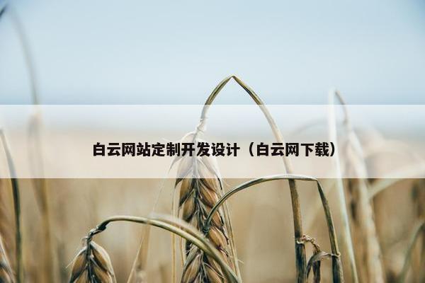 白云网站定制开发设计（白云网下载）