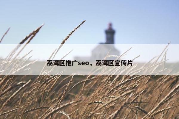 荔湾区推广seo，荔湾区宣传片