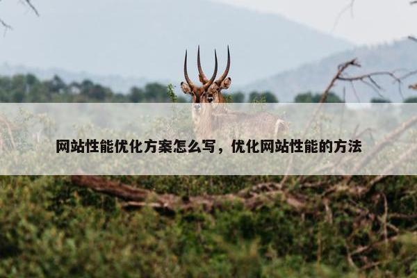 网站性能优化方案怎么写，优化网站性能的方法