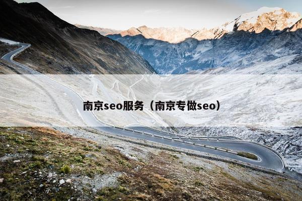 南京seo服务（南京专做seo）