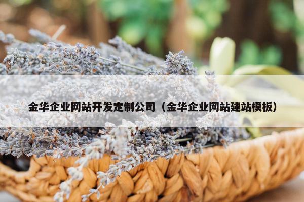 金华企业网站开发定制公司（金华企业网站建站模板）