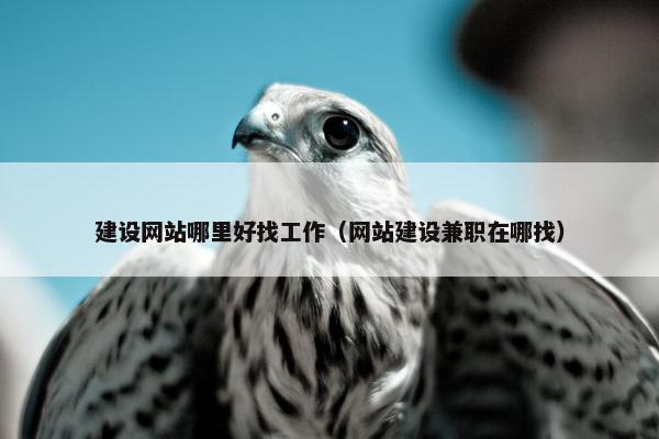 建设网站哪里好找工作（网站建设兼职在哪找）